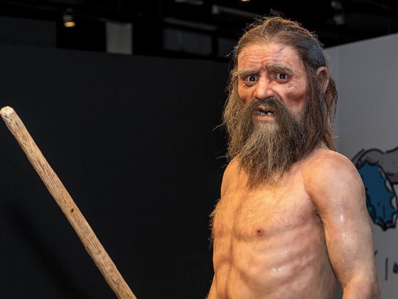 Otzi The Iceman Prehistoric Time Traveler Turnkey Exhibition